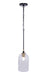 Craftmade - 60391-FBSB-C - One Light Pendant - Council - Flat Black/Satin Brass