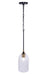 Craftmade - 60391-FBSB-C - One Light Pendant - Council - Flat Black/Satin Brass