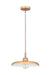 Z-Lite - 2308P14-RB - One Light Pendant - Camden - Rubbed Brass