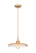 Z-Lite - 2308P14-RB - One Light Pendant - Camden - Rubbed Brass