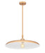 Z-Lite - 2308P24-RB - One Light Pendant - Camden - Rubbed Brass