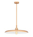 Z-Lite - 2308P24-RB - One Light Pendant - Camden - Rubbed Brass