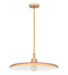 Z-Lite - 2308P24-RB - One Light Pendant - Camden - Rubbed Brass
