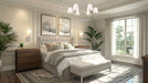 Z-Lite - 3049-32BN - Six Light Chandelier - Tova - Brushed Nickel