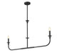 Z-Lite - 3049-42L-MB - Two Light Linear Chandelier - Tova - Matte Black