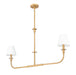 Z-Lite - 3049-42L-RB - Two Light Linear Chandelier - Tova - Rubbed Brass