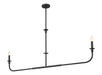 Z-Lite - 3049-60L-MB - Two Light Linear Chandelier - Tova - Matte Black