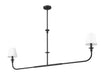 Z-Lite - 3049-60L-MB - Two Light Linear Chandelier - Tova - Matte Black