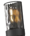 Z-Lite - 3053-2SL-MB - Two Light Wall Sconce - Meridian - Matte Black