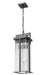Z-Lite - 5031CHB-BK - Two Light Outdoor Chain Mount Ceiling Fixture - Fortis - Sand Black