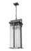 Z-Lite - 5031CHXL-BK - Three Light Outdoor Chain Mount Ceiling Fixture - Fortis - Sand Black