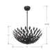 Millennium - 28306-MB - Six Light Pendant - Merylmint - Matte Black