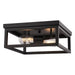 Vaxcel - C0362 - Two Light Flush Mount - Pratt - Matte Black