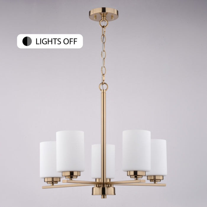 Vaxcel - H0325 - Five Light Chandelier - Park Ridge - Champagne Gold