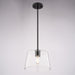 Vaxcel - P0472 - One Light Pendant - Evanston - Matte Black