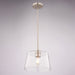 Vaxcel - P0473 - One Light Pendant - Evanston - Satin Nickel