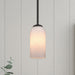 Vaxcel - P0479 - One Light Mini Pendant - Shelby - Matte Black