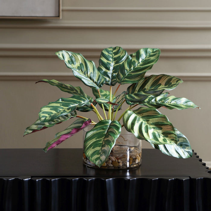 Uttermost - 60273 - Plant Accent - Peacock - Natural