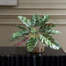 Uttermost - 60273 - Plant Accent - Peacock - Natural
