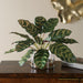 Uttermost - 60273 - Plant Accent - Peacock - Natural
