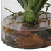Uttermost - 60275 - Vase - Dancing - Orange