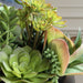 Uttermost - 60277 - Centerpiece - Mico - Green