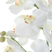 Uttermost - 60280 - Orchid Drop-In - Laris - White