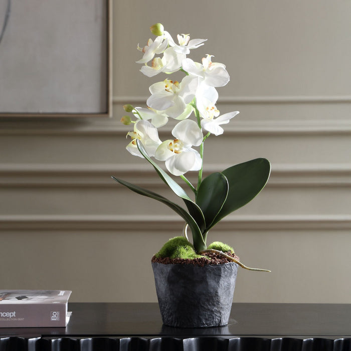 Uttermost - 60280 - Orchid Drop-In - Laris - White