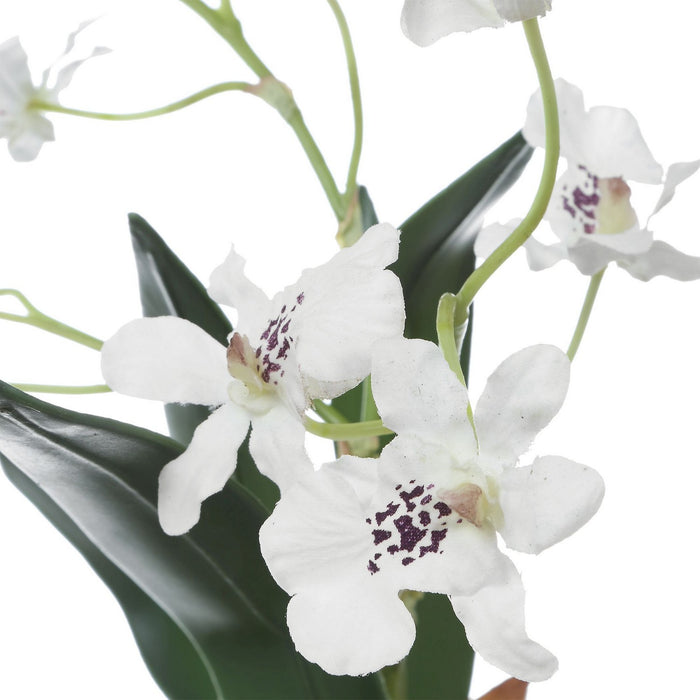 Uttermost - 60281 - Orchid Drop-In - Clovis - White