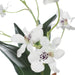 Uttermost - 60281 - Orchid Drop-In - Clovis - White