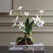 Uttermost - 60281 - Orchid Drop-In - Clovis - White