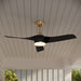 Millennium - 1103LED-BR-MBK - 52" Ceiling Fan - Hammerlin - Brass