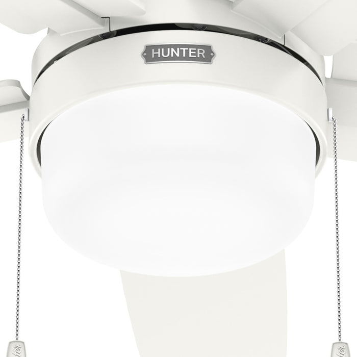 Anisten 44" Ceiling Fan-Fans-Hunter-Lighting Design Store