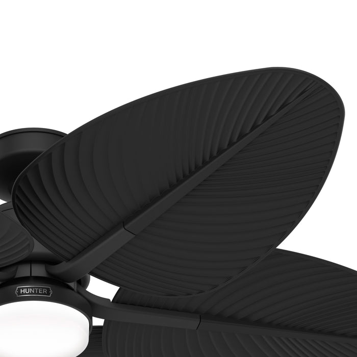 Tropic View 52"Ceiling Fan-Fans-Hunter-Lighting Design Store