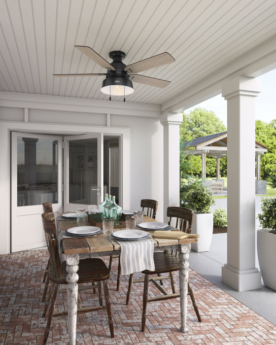 Hunter Mill Valley Ceiling Fan