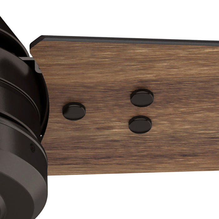 Cassius 60"Ceiling Fan-Fans-Hunter-Lighting Design Store