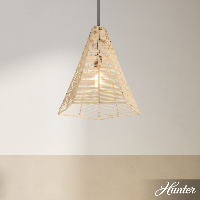 Comet One Light Pendant-Pendants-Hunter-Lighting Design Store