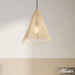 Comet One Light Pendant-Pendants-Hunter-Lighting Design Store