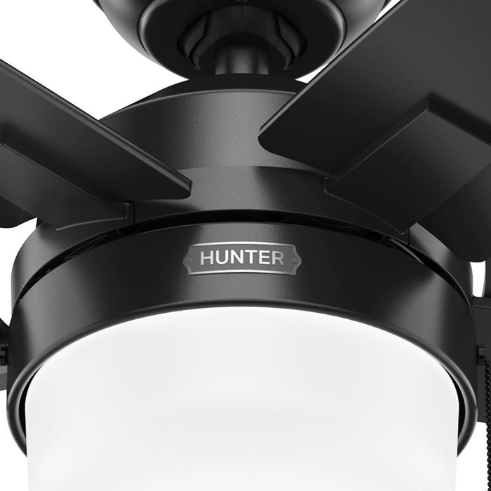 Anisten 44" Ceiling Fan-Fans-Hunter-Lighting Design Store