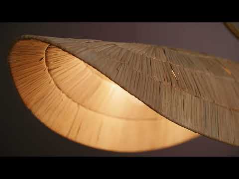Pendant light fixture featuring a handwoven natural rattan shade with a curved, organic form. The woven texture allows light to filter through, creating a warm, softly patterned glow. A graceful, swooping arm in a gleaming vintage gold leaf finish supports the shade, echoing its curves and adding a refined metallic contrast to the natural material.