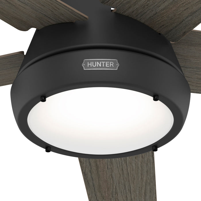 Burroughs 52" Ceiling Fan-Fans-Hunter-Lighting Design Store