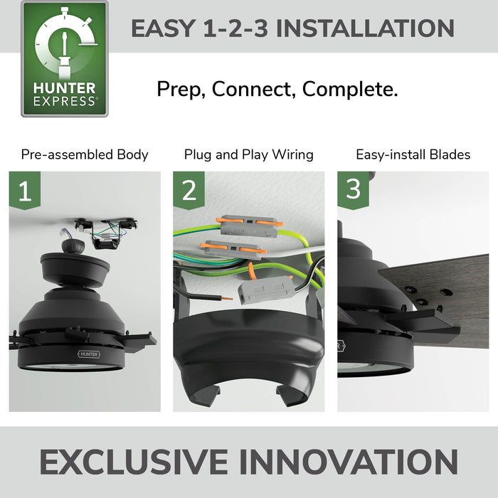 Georgetown 52"Ceiling Fan-Fans-Hunter-Lighting Design Store