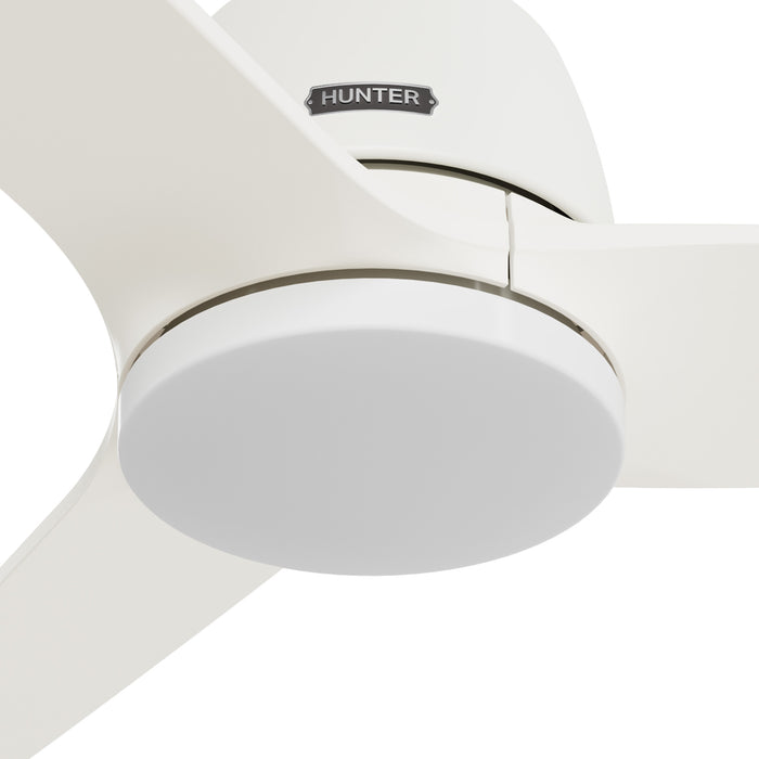 Malden 52"Ceiling Fan-Fans-Hunter-Lighting Design Store