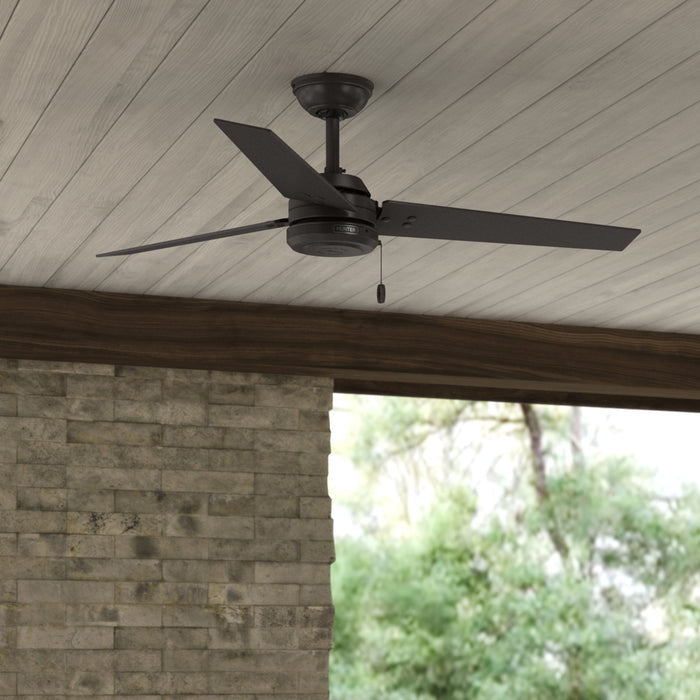 Cassius 52" Ceiling Fan-Fans-Hunter-Lighting Design Store