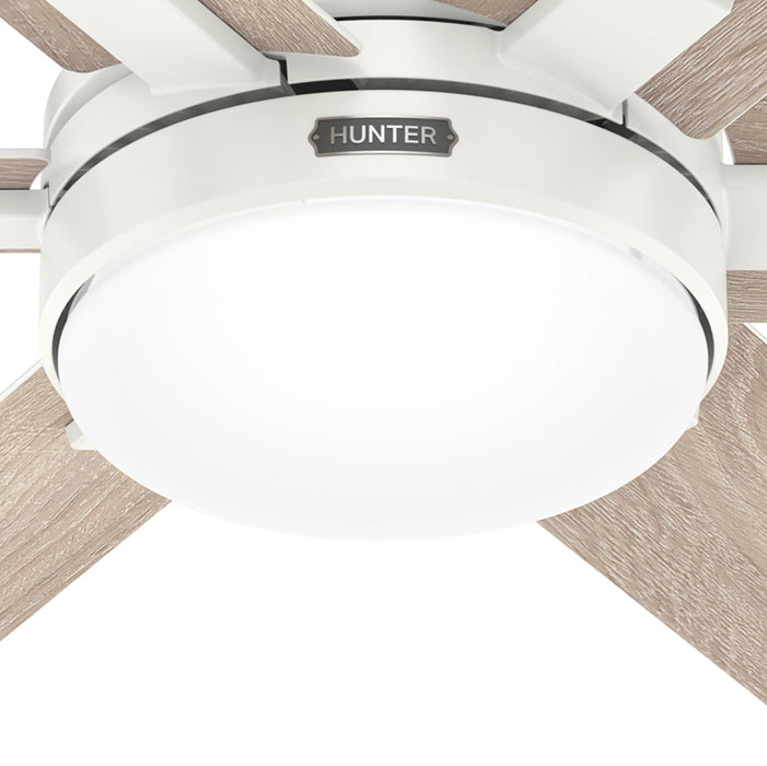 Georgetown 52"Ceiling Fan-Fans-Hunter-Lighting Design Store