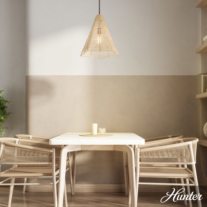 Comet One Light Pendant-Pendants-Hunter-Lighting Design Store