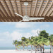 Trimaran 52" Ceiling Fan-Fans-Hunter-Lighting Design Store