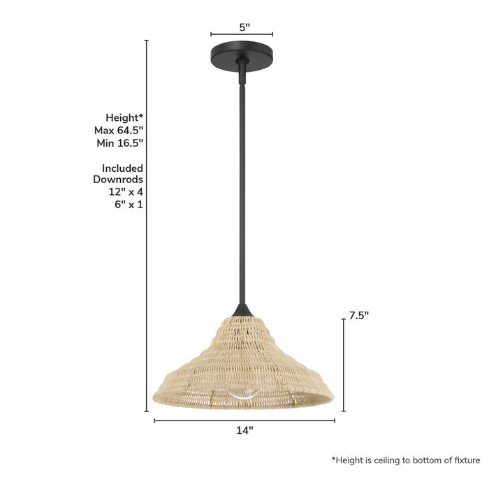 Agoura One Light Pendant-Pendants-Hunter-Lighting Design Store
