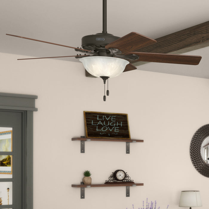 Pro's Best 52"Ceiling Fan-Fans-Hunter-Lighting Design Store