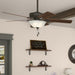 Pro's Best 52"Ceiling Fan-Fans-Hunter-Lighting Design Store